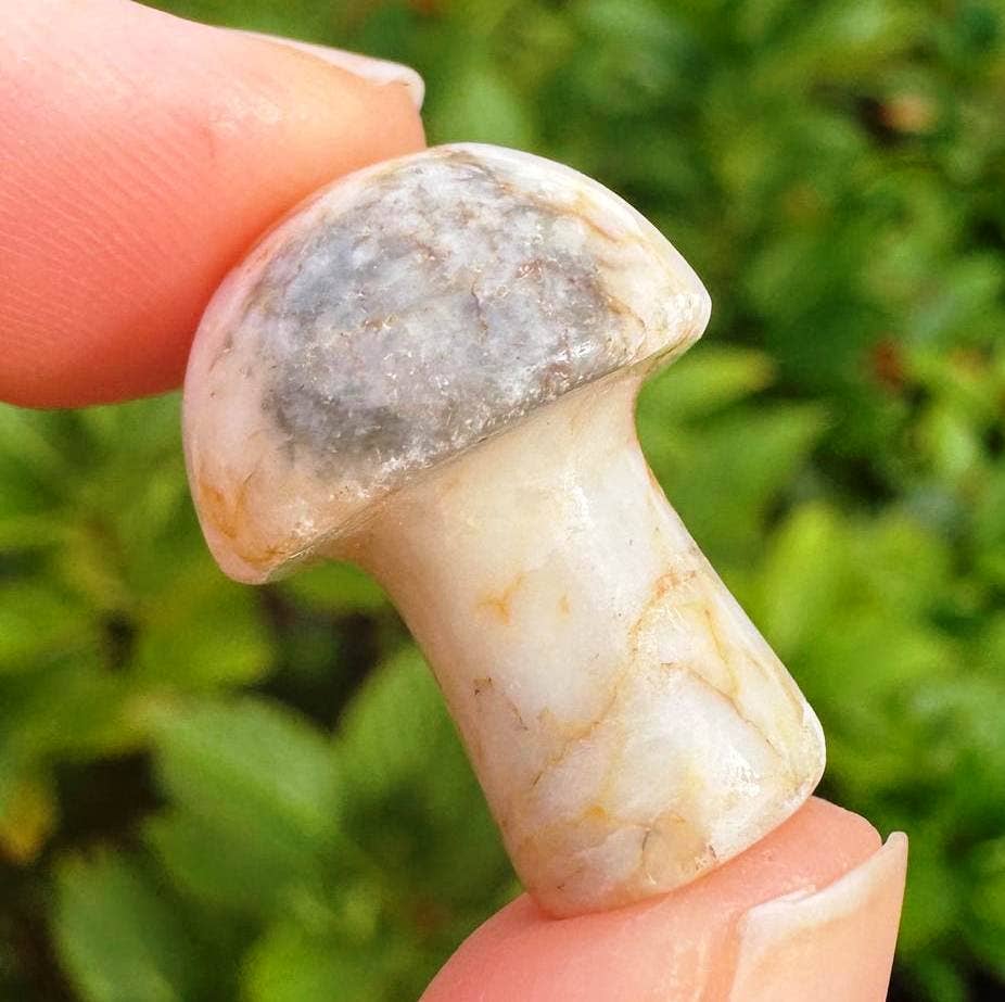 Mushroom 2cm zebra jasper yellow zebra crystal mushy by elf