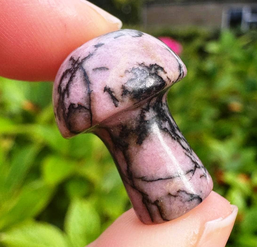 Rhodonite mushroom 2cm Price per stone gemstone mushroom uk