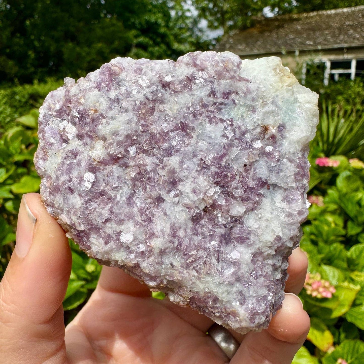 Raw lepidolite chunk 2-3cm rough lepidolite chunk by elf uk