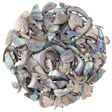 Abalone Tumbled Shell - The Stone of the Sea