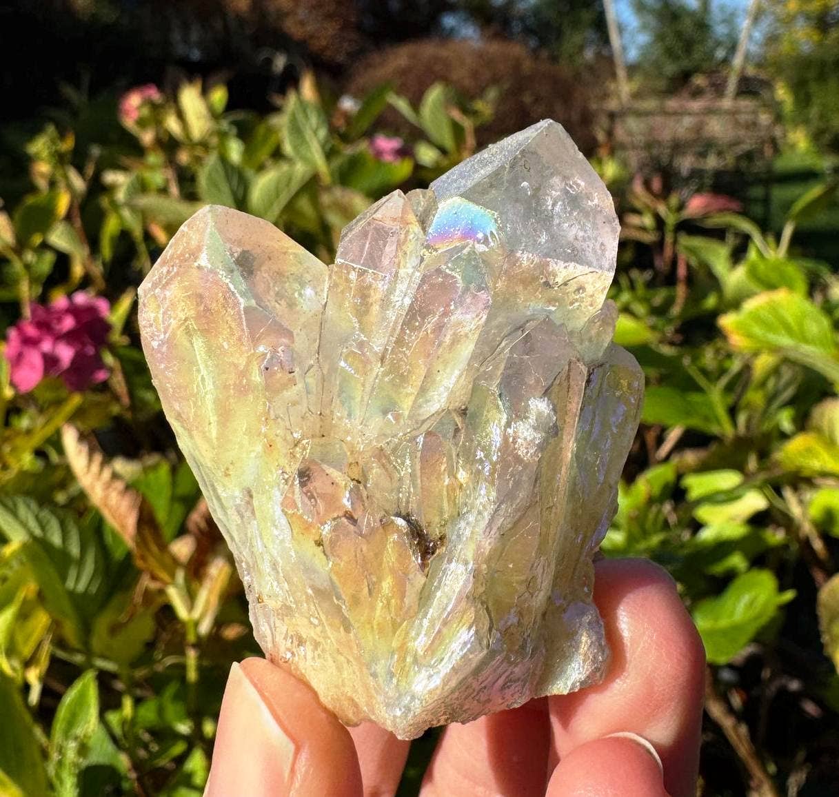 Angel aura cluster 2 sizes electroplated crystal points elf