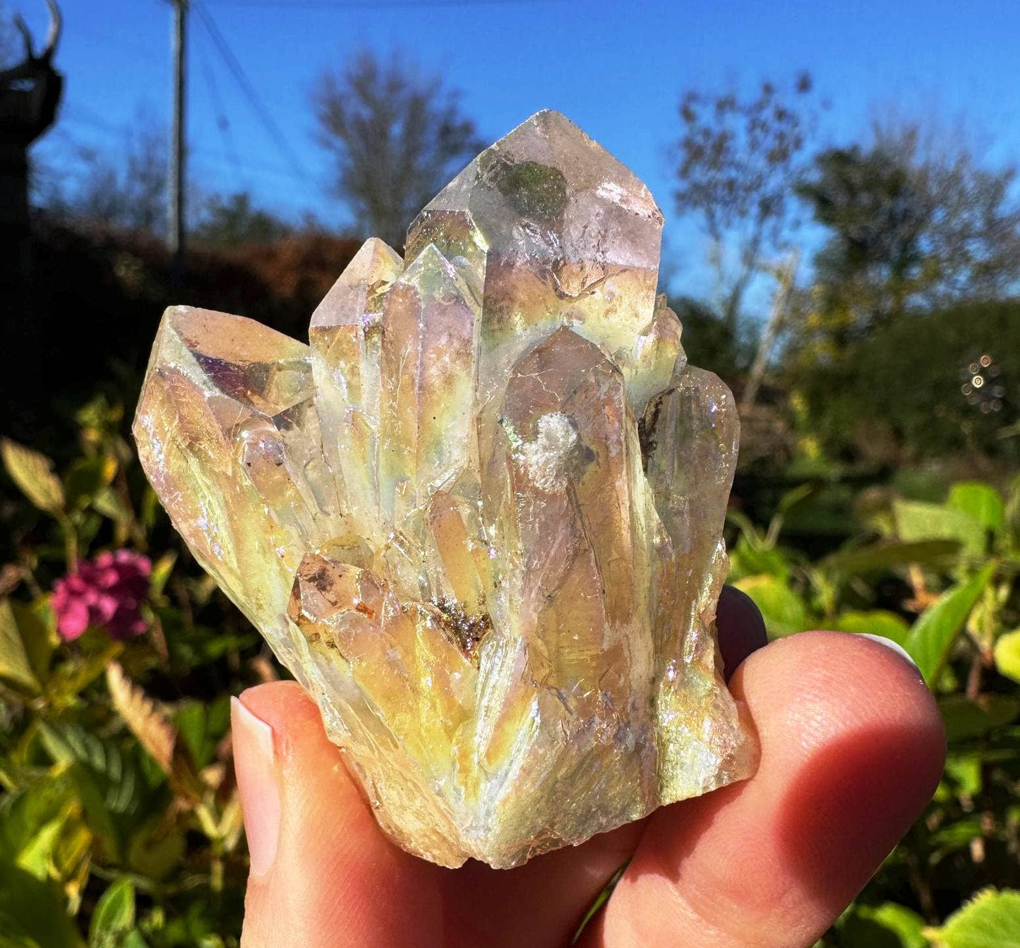 Angel aura cluster 2 sizes electroplated crystal points elf