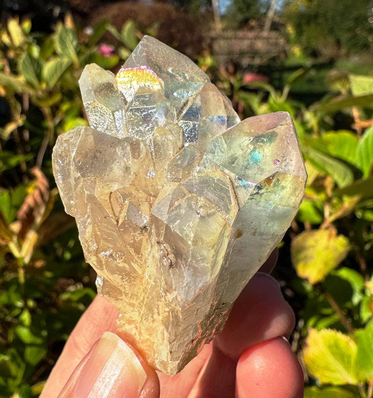 Angel aura cluster 2 sizes electroplated crystal points elf