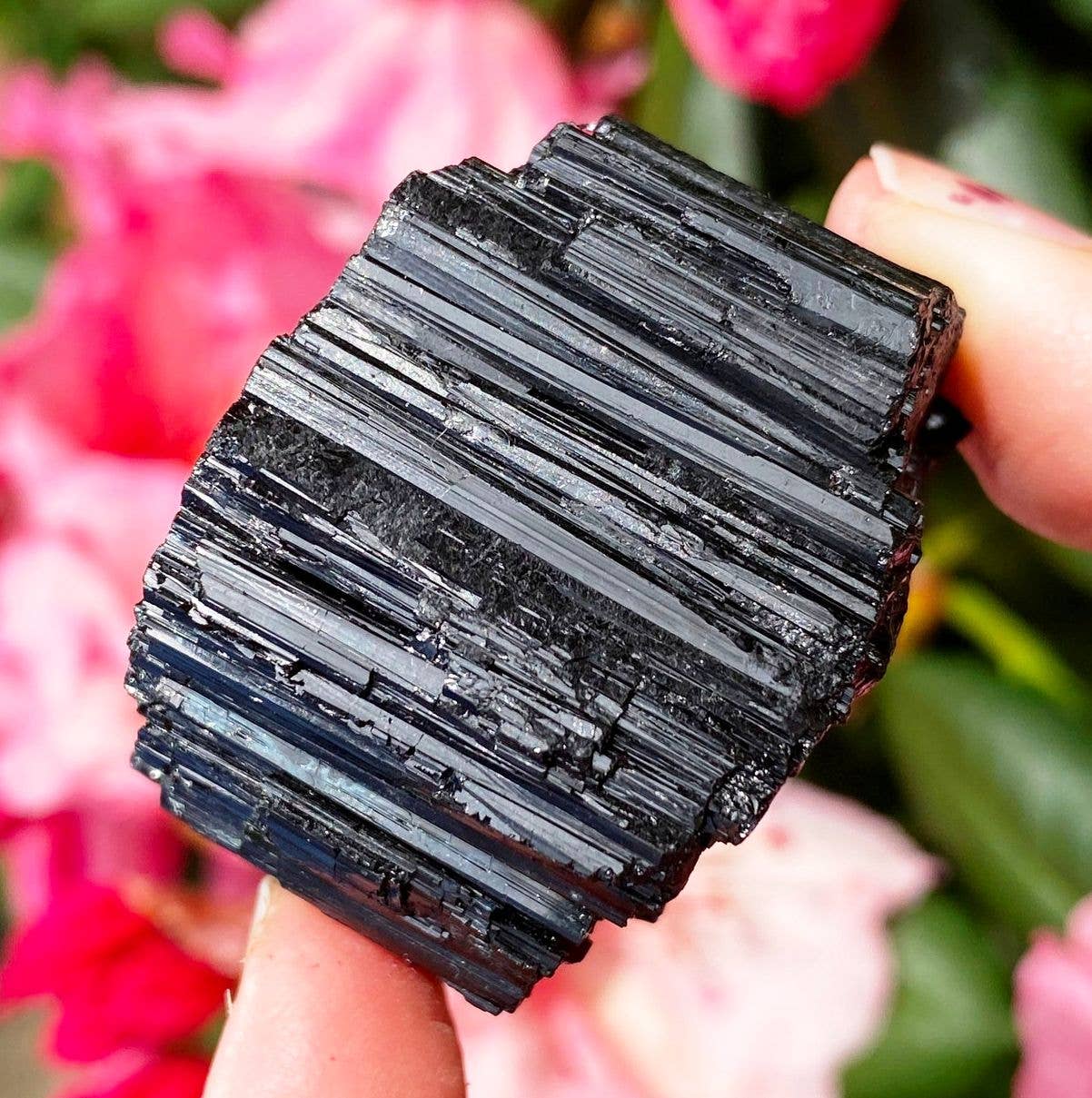 Rough tourmaline 2-3cm rough black tourmaline crystal schorl