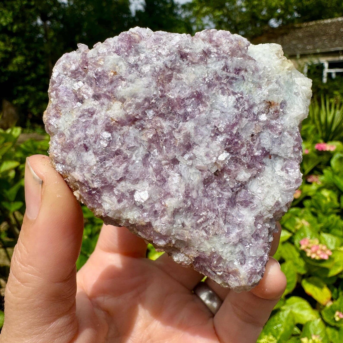 Raw lepidolite chunk 2-3cm rough lepidolite chunk by elf uk