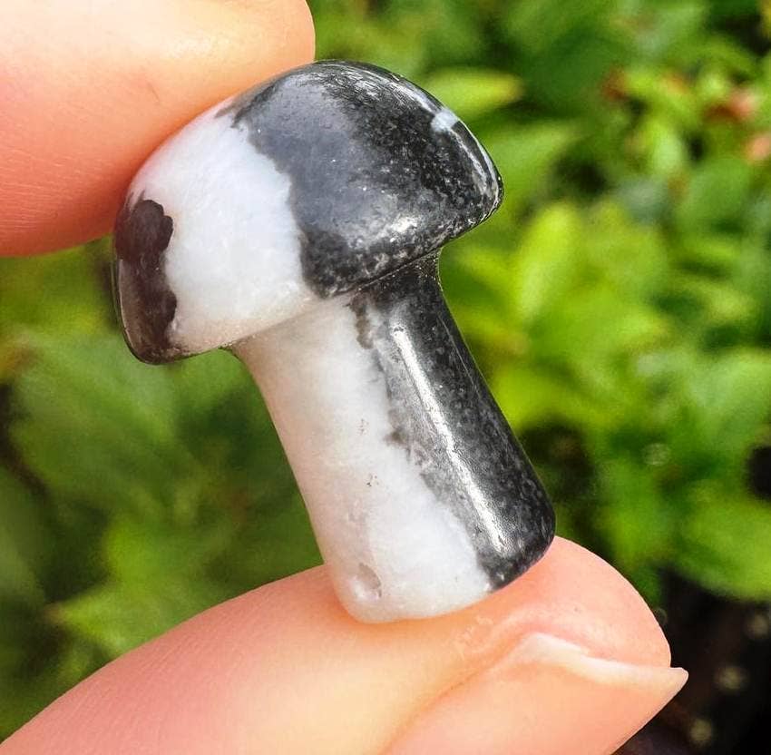 Zebra jasper mushroom 2cm crystal mushroom gemstone per item