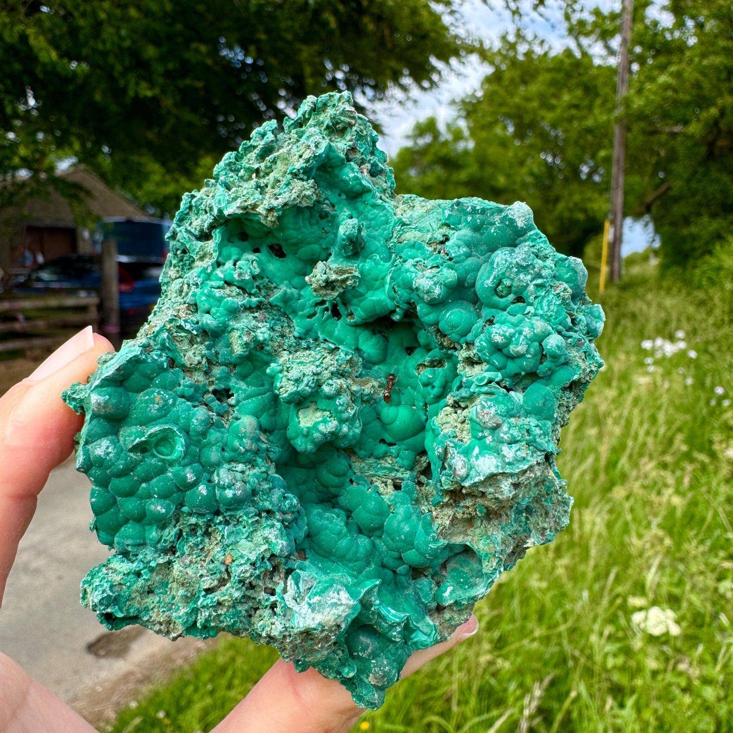 Raw malachite specimen 3cm piece malachite stone by elf UK